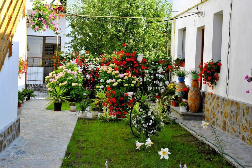 Pensiunea Ruxi Curtea de Argeş Dış mekan fotoğraf